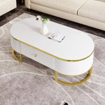 ZUN Modern Oval Coffee Table with Drawers,Curved Profile Design, Gold Metal Decor, Center Table for N735P192897K