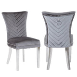 Eva 2 Piece Stainless Steel Legs Chair Finish with Velvet Fabric in Gray 733569236183