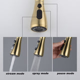 Kitchen Faucet with Pull Out Spraye 58556290