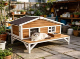 Insulated Cat House 29374987