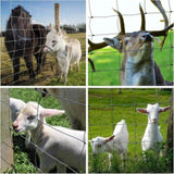 Farm Fence 4ft x 164ft 14Gauge Heavy Zinc Coating Cattle Fence,Galvanized Field Wire Fencing Deer W2286P270226