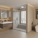 44 to 48 in. W x 76 in. H Double Sliding Frameless Soft-Close Shower Door, Premium 3/8 Inch W1573126517