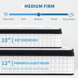 12 Inch Queen Size Oeko-tex100 Cool Kniited Cover Memrory Foam 7 Zoned Pocket Spring Hybrid Mattress W3017P300993