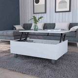 ZUN Boston Lift Top Coffee Table B128P148668