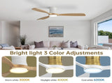 48-Inch Ceiling Fan with Light, Dimmable, Light Memory Function, DC Reversible Motor, 3 Solid Wood W934P611366