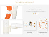 Dog agility training equipment 13239224