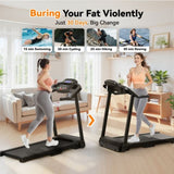 Treadmills for Home Treadmill with Incline Walking Pad Treadmill Running Machine 2.5HP Quiet 11711301