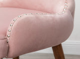 Lindale Contemporary Velvet Upholstered Nailhead Trim Accent Chair, Pink T2574P164506