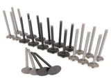 Engine Valve Kit Set Intake Exhaust for Dodge Grand Caravan Chrysler 300 3.5 4.0 04663836 39053271