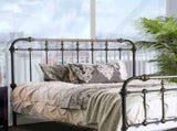 Transitional Style Antique Black Queen Size Bed Hand-brushed Antique Gold Accents 1pc Bedroom B2741P476062