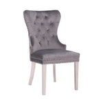 ZUN Simba Stainless Steel 2 Piece Chair Finish with Velvet Fabric in Dark Gray 808857571366