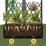 ZUN Wicker Trellis Planter, Outdoor Raised Garden Bed with Drainage Holes, Free-Standing Trellis Planter 49413812