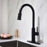 Kitchen Faucet with Pull Out Spraye 66599224