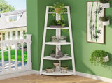Shelf Book/Storage Cabinet 82297683