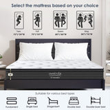 Queen Size Mattress,10 Inch Hybrid Mattress, Individually Pocketed Innerspring, Medium Firm W2889P310472