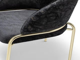 Onyx Modern Style 2PC Chairs made with Velvet fabric and Gold coated metal Legs - Black B009P332650