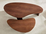 2-Piece Modern Irregular Shape Coffee Table Set for Living Room,Easy Assembly Nesting Coffee Tables, W2582P402268