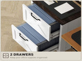 File Cabinet/ Storage cabinet 38884347