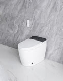 ZUN Elongated Smart Toilet with Elongated Heated Bidet Seat, Intelligent Toilet with Bidet Built-in, W2826P199068