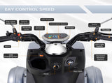 Mobility Scooters for Seniors and Adults,Powered Mobility Scooters with Multiple Storage W3322P336297