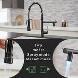 Commercial LED Kitchen Faucet with Pull Down Sprayer, Single Handle Single Lever Kitchen Sink Faucet W1932P155918