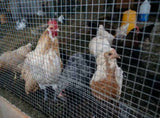 Hardware Cloth 1/2 inch 60in x 100ft 19 Gauge, Hot-dip Galvanized After Welding Chicken Wire Fence 86337583