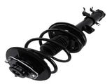 Set of 2 Front Struts w/ Coil Springs fit for INFINITI FX35 2003-2008 3.5L 20037295