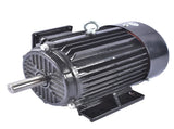 3 Phase 3 HP 1800RPM Electric Motor 230/460 Volt 182T 60HZ TEFC / IP55 Enclosure 53541899