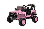 ZUN 24V 9Ah Ride on Toy for Big Kids, 2-Seater Powered Ride-on Truck Car with Remote,pink W2058P203309