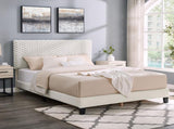 Findlay Plush 3D Upholstered Platform Bed in White Dove T2574P241780
