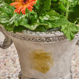 DELPHINE URN 63404.00GRY