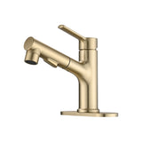Bathroom Faucet with Pull Out Sprayer, Single Handle Modern Bathroom Basin Faucet with Pop-up W1224P290215