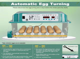 36 Eggs Incubators for Hatching Eggs,Egg Incubator 4 Automatic Incubate Mode,Chicken Incubator 78094403