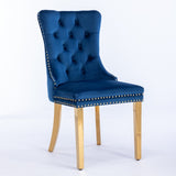 A&A Furniture,Nikki Collection Modern, High-end Tufted Solid Wood Contemporary Velvet Upholstered W1143P151485