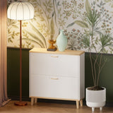 Shoes Storage Cabinet for Entryway,Narrow Shoe Rack Cabinet,Shoe Cabinet with 2 Flip W3166P268388
