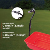 Four-wheeled electric cart 24V 180W lead-acid battery 264 lbs electric one-wheeled N727P171071R