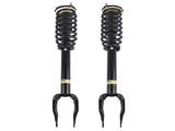 Set of 2 Front Shock Strut Coil Spring Assys Fit for Mercedes-Benz W166 C292 ML500 GLE400 1663232400 95769204