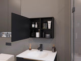 Black Medicine Cabinet with Included Mirror and 1 Door B062P252185