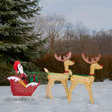 Lighted Reindeer Pulling Sleigh Christmas Decorations, Pre-lit Holiday Decor with270Warm White 72364050