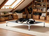 Elevated Dog Bed 61723452