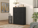 Shoe Storage Cabinet 09853491