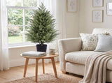 Set of 2 3ft Two-Tone Green PE Potted Trees with Round Black Pots, 250 Branch Tips Each, Artificial 26409058