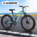 ZUN S24109 Elecony 24 Inch Fat Tire Bike Adult/Youth Full Shimano 7 Speeds Mountain Bike, Dual Disc W1856107354