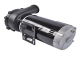 Executive 56-Frame 4HP Dual-Speed Spa Pump 2in Intake & Discharge 1-4 Horsepower 230 Volt 160 51733889