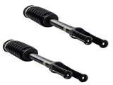 Set of 2 Front Shock Strut & Coil Spring Assys For Mercedes-Benz R320 R350 R500 2006-2013 2513200730 38684184