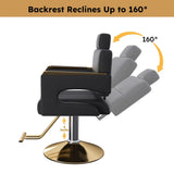 Professional Hydraulic Barber Chair - 360&deg Swivel with Adjustable Height, Stainless Steel Armrests & W2700P318167