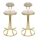 Round Bar Stools S-shaped Stripe Kitchen Stool Set of 2 Modern Velvet Upholstered Counter Chair for W1757P345494