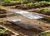24" x 8" x 8" Animal Cage Trap, Folding Design with Handle, for Rabbits, Stray Cats, Squirrels & 61832848