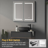 LED Bathroom Wall Cabinet, Double Door Bathroom Mirror Cabinet, Black 60402434