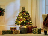 Set of 2 3FT Pre-lit Outdoor Pathway Christmas Trees with Stakes,Red Berries and 85295576